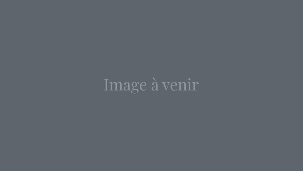 image-a-venir.png